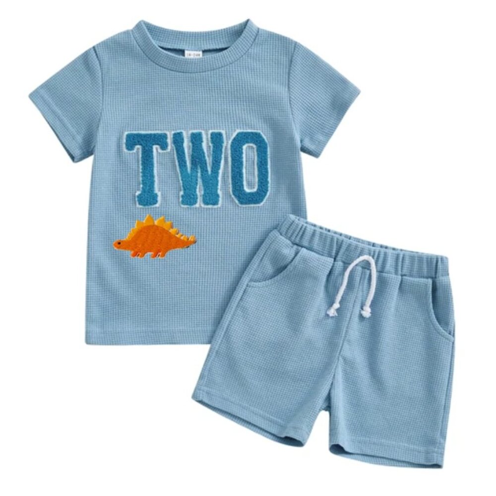 Dinosaur Outfit Dinosaur Second Birthday Clothes Dinosaur Shirt Dinosaur Shorts
